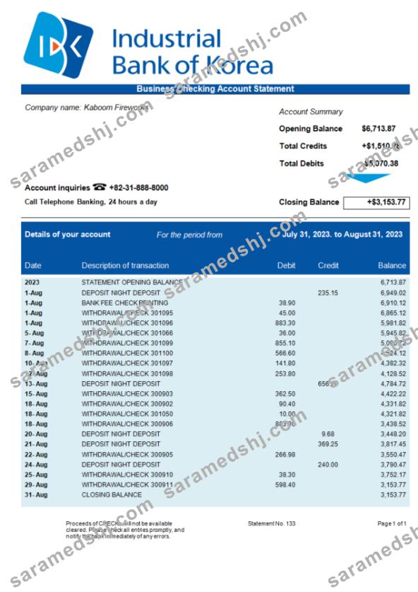 Industrial Bank of Korea business statement Word and PDF template